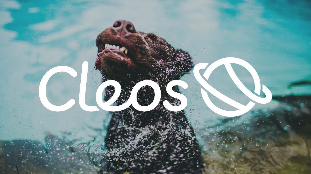 Hundimfreibad powered by Cleos